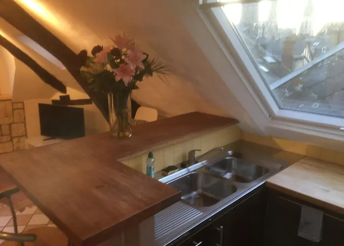 公寓 鲁昂卡尔捷圣玛洛公寓 *